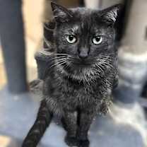 Thumbnail photo of Marbles #1