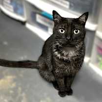 Thumbnail photo of Marbles #2