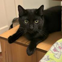 Thumbnail photo of Jett #2