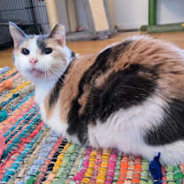 Thumbnail photo of Margie #1