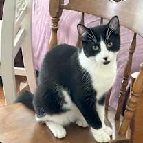 Thumbnail photo of Jax #4