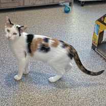 Thumbnail photo of Friday #2