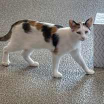 Thumbnail photo of Friday #3