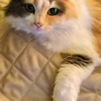 Thumbnail photo of Chloe #2