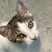 Thumbnail photo of Layla #4