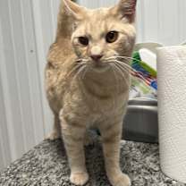 Thumbnail photo of Colton #2