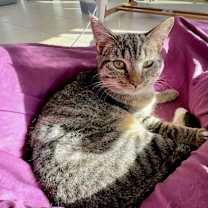 Thumbnail photo of Little Bear Creek #2