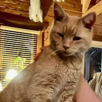 Thumbnail photo of Gourd #1