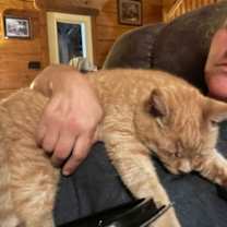 Thumbnail photo of Gourd #3