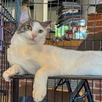 Thumbnail photo of Lu #1