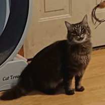 Thumbnail photo of Tinkerbelll #1