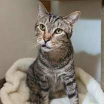 Thumbnail photo of Gus #1