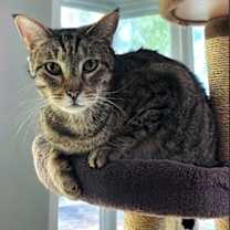 Thumbnail photo of Gus #2