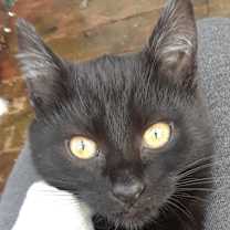 Thumbnail photo of Monday, Monday #1