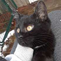 Thumbnail photo of Monday, Monday #2