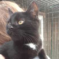 Thumbnail photo of Monday, Monday #3