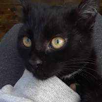 Thumbnail photo of Monday, Monday #4