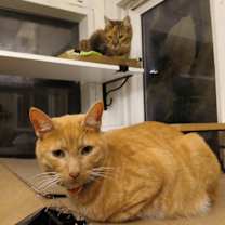 Thumbnail photo of Arty #4