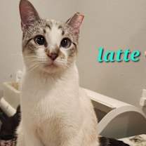 Thumbnail photo of Latte #2