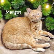 Thumbnail photo of Margot #3