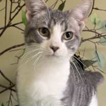 Thumbnail photo of Charlie #1