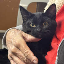 Thumbnail photo of Mathew #3