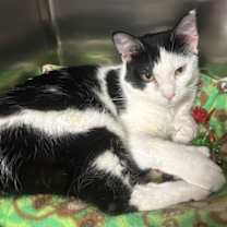 Thumbnail photo of Brett #4