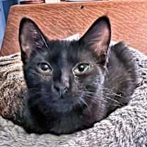 Thumbnail photo of Zoom #2