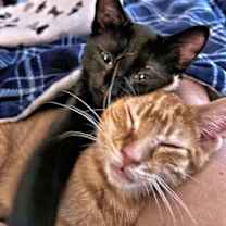 Thumbnail photo of Zoom #3