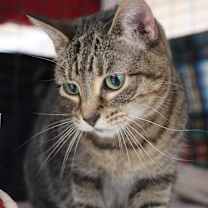 Thumbnail photo of Ellie #1