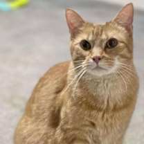 Thumbnail photo of TWIX #1