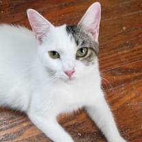 Thumbnail photo of Harper #2