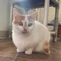 Thumbnail photo of Penelope #3
