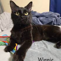 Thumbnail photo of Winnie #1