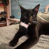 Thumbnail photo of Bradie #2