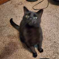 Thumbnail photo of Everett #2