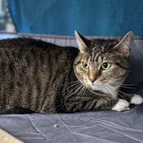 Thumbnail photo of Emmie #2