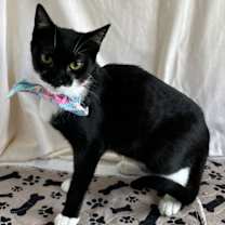 Thumbnail photo of EIRA #4