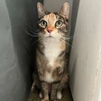 Thumbnail photo of Goo #1