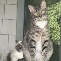 Thumbnail photo of Luke #1