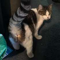 Thumbnail photo of Serendipity #2