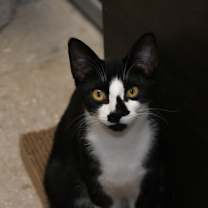 Thumbnail photo of Ralph #1