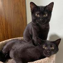 Thumbnail photo of Agatha and Rio #1