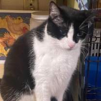 Thumbnail photo of Bonnie #4