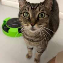 Thumbnail photo of Sharon #2