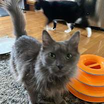 Thumbnail photo of Rhonda #4