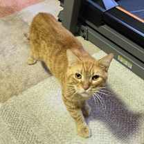 Thumbnail photo of Oscar #2