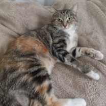 Thumbnail photo of Marcella #2