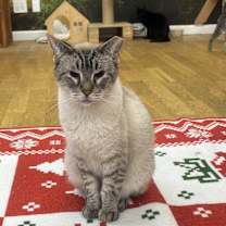 Thumbnail photo of Otis #1