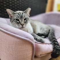 Thumbnail photo of Otis #2